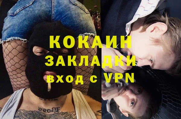 шишки Балабаново