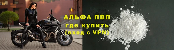 ешки Новозыбков