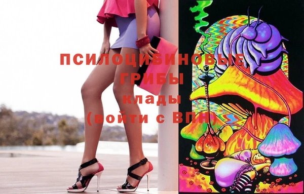 шишки Балабаново