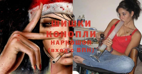 шишки Балабаново