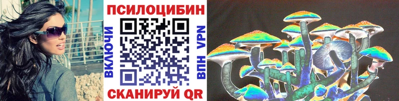 дарнет шоп  Малмыж  Псилоцибиновые грибы Magic Shrooms 